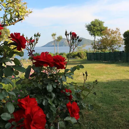 Iraklitsa View 아파트