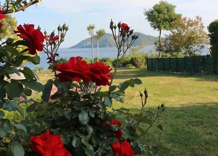 Iraklitsa View Lejlighed